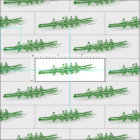 Green Rowing Rowers Crew Team Water Sports