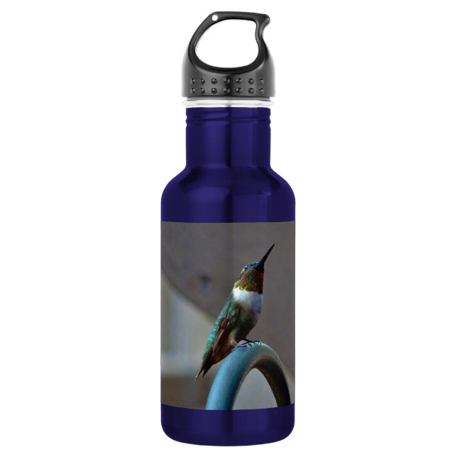 Green Ruby little Hummingbird 532 Ml Water Bottle (Front)