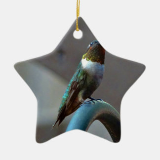 Green Ruby little Hummingbird Ceramic Tree Decoration