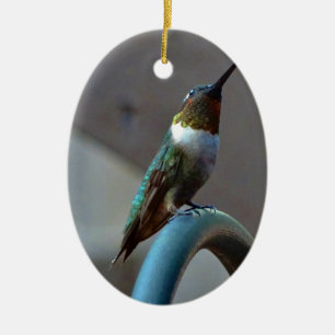 Green Ruby little Hummingbird Ceramic Tree Decoration