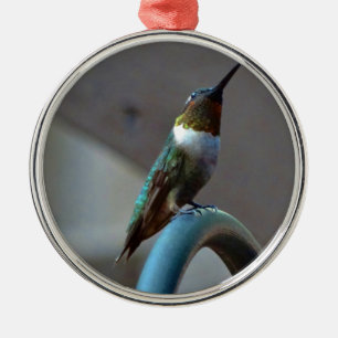 Green Ruby little Hummingbird Metal Tree Decoration