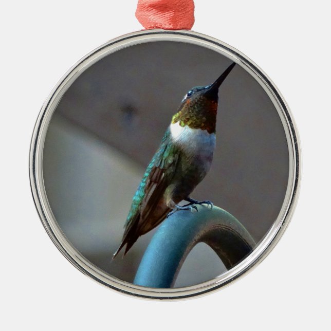 Green Ruby little Hummingbird Metal Tree Decoration (Front)