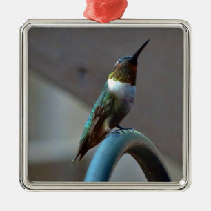 Green Ruby little Hummingbird Metal Tree Decoration