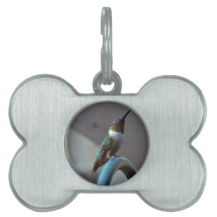 Green Ruby little Hummingbird Pet Name Tag