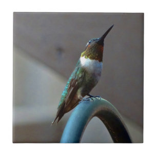 Green Ruby little Hummingbird Tile
