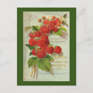 Green’s Nursery Co. Advertisement Postcard