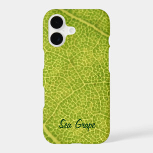 Green Sea Grape Leaf iPhone 11 Case