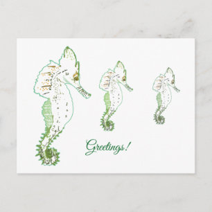 Green Sea HorseGreetings Postcard