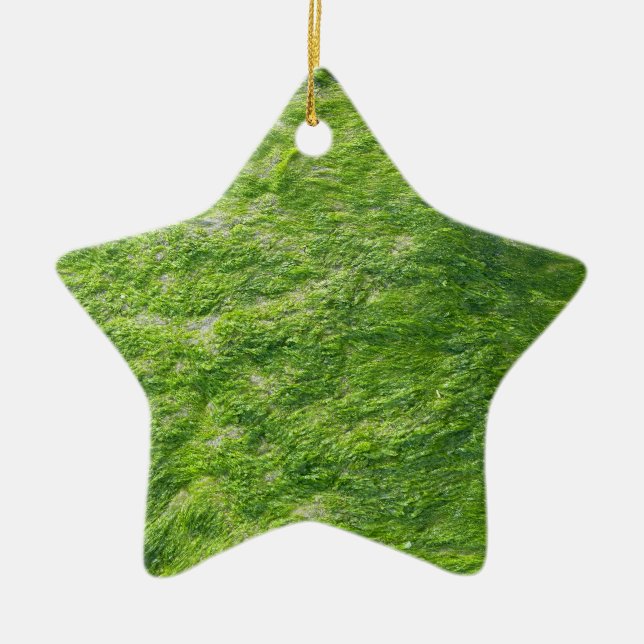 Green Sea Moss Nature Grass Beach Nautical Ceramic Tree Decoration (Front)