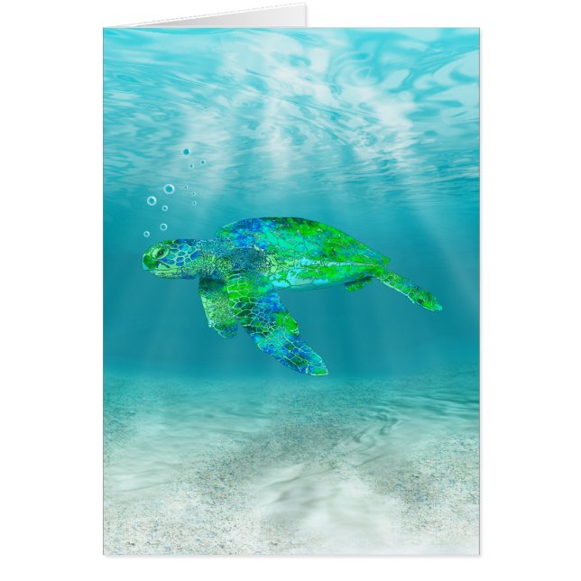 Green Sea Turtle (Front)