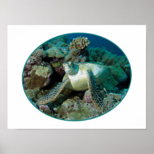Green Sea Turtle at corals - Photographic Design Poster