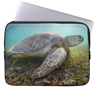 Green Sea Turtle At Dusk   Akumal Bay Laptop Sleeve