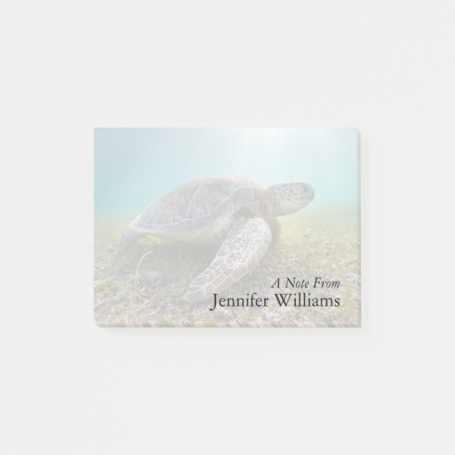 Green Sea Turtle At Dusk | Akumal Bay Post-it Notes (Front)