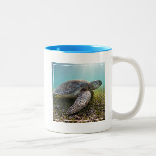Green Sea Turtle At Dusk Akumal Bay Two-Tone Coffee Mug