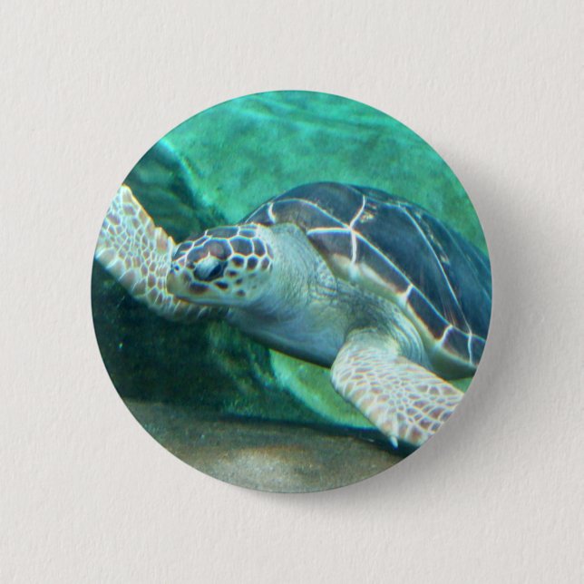 Green Sea Turtle Button (Front)