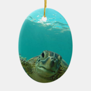 Green Sea Turtle Ceramic Tree Decoration