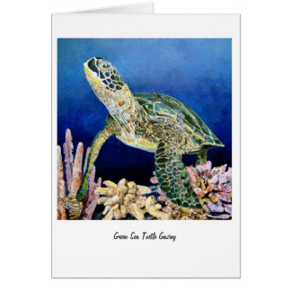 Green Sea Turtle Gazing