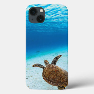 Green sea turtle, Green turtle, Sea turtle iPhone 13 Case