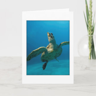 Green Sea Turtle Greeting Card