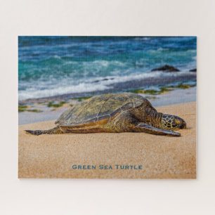 Green Sea Turtle Jigsaw Puzzle