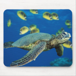 Green Sea Turtle Mouse Mat