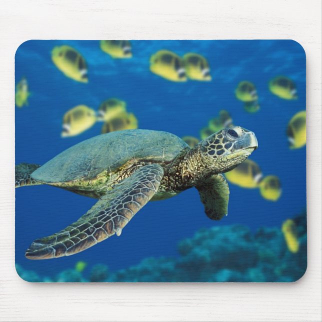 Green Sea Turtle Mouse Mat (Front)