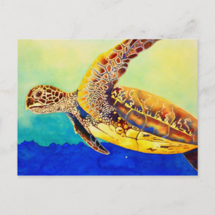 green sea turtle postcard