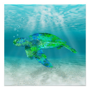 Green Sea Turtle Poster