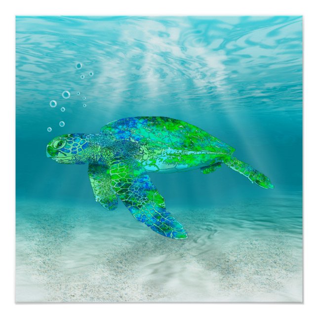 Green Sea Turtle Poster (Front)