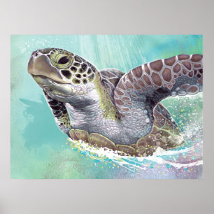 Green Sea Turtle Poster