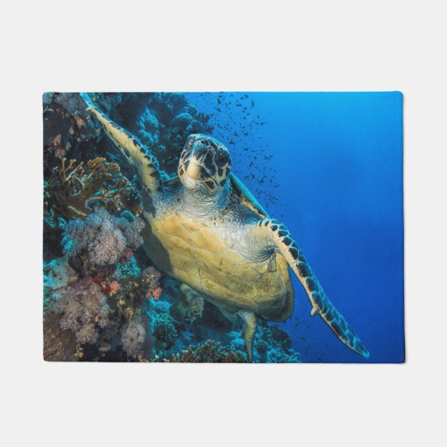 Green Sea Turtle | Red Sea Doormat (Front)
