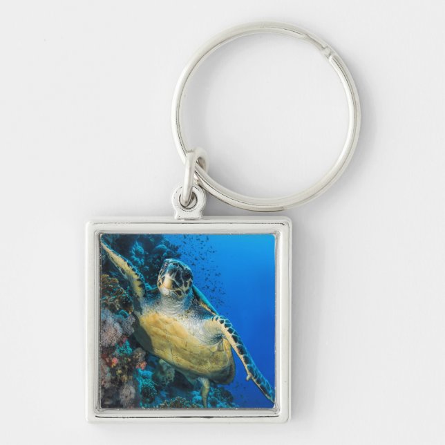 Green Sea Turtle | Red Sea Key Ring (Front)