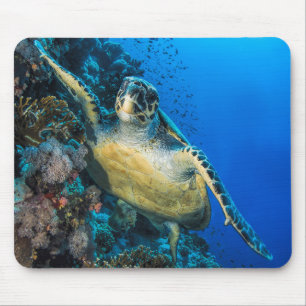 Green Sea Turtle Red Sea Mouse Mat