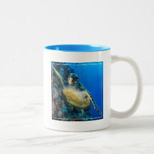 Green Sea Turtle Red Sea Two-Tone Coffee Mug