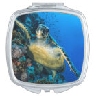 Green Sea Turtle | Red Sea