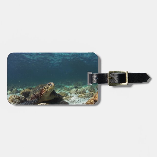Green sea turtle relaxing underwater lagoon luggage tag (Front Horizontal)