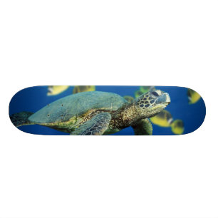 Green Sea Turtle Skateboard
