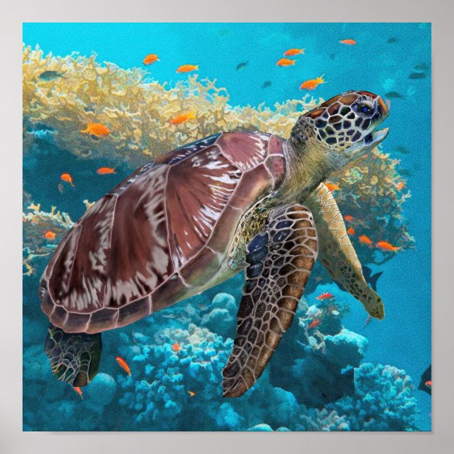 Green Sea Turtle Swimming Near Coral Reef Poster (Front)
