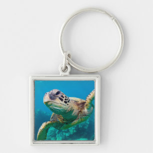 Green Sea Turtle Swimming Over Coral Reef  Hawaii Key Ring