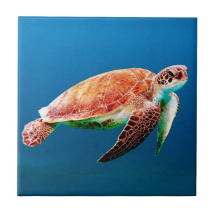 Green Sea Turtle Tile
