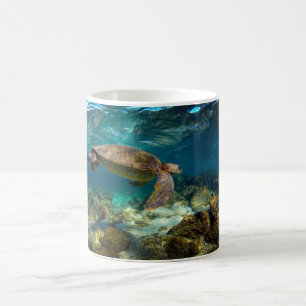 Green sea turtle underwater Galapagos Islands Coffee Mug