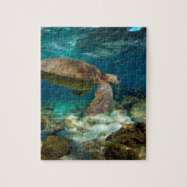 Green sea turtle underwater Galapagos Islands Jigsaw Puzzle (Vertical)