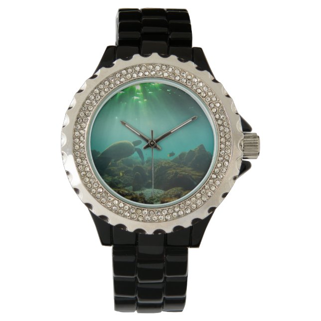 Green sea turtle underwater Galapagos Islands Watch (Front)