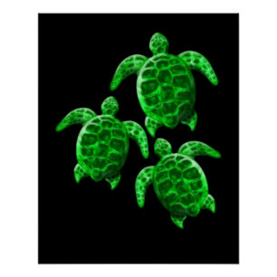 Green Sea Turtles Poster