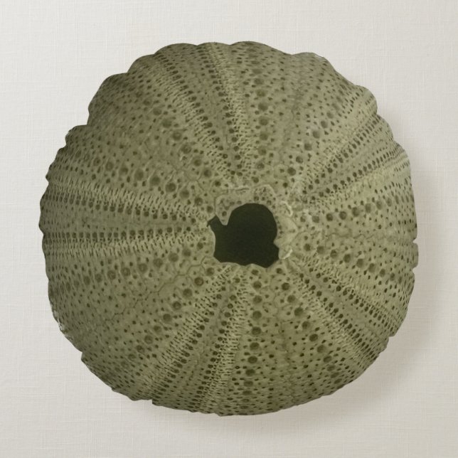 Green Sea Urchin Throw Pillow (Front)