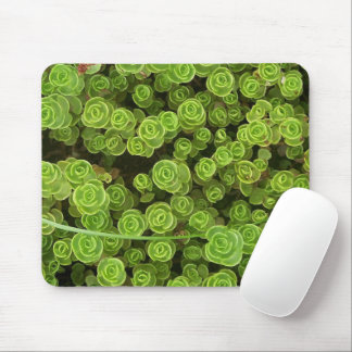 Green Sedum Garden Plant Mouse Mat