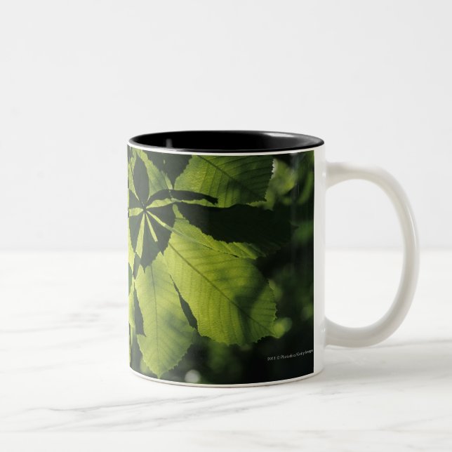 Green Seven Point Leaves with Sun Illumination Two-Tone Coffee Mug (Right)