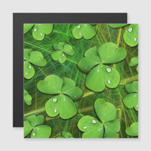 Green Shamrock St Patrick's iPhone 5 Case-Mate