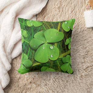 Green Shamrock St Patrick's iPhone 5 Case-Mate Cushion
