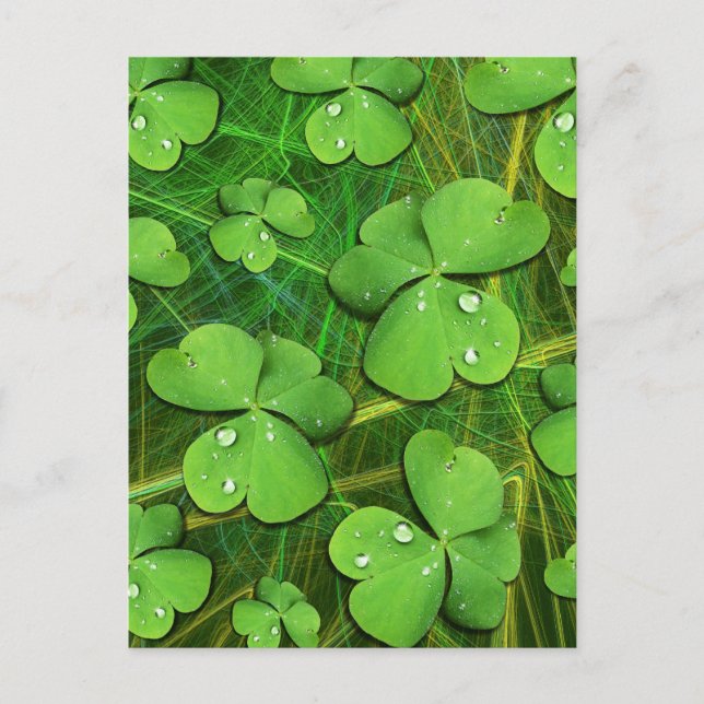 Green Shamrock St Patrick's iPhone 5 Case-Mate Holiday Postcard (Front)
